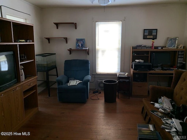 office space with wood-type flooring and healthy amount of natural light