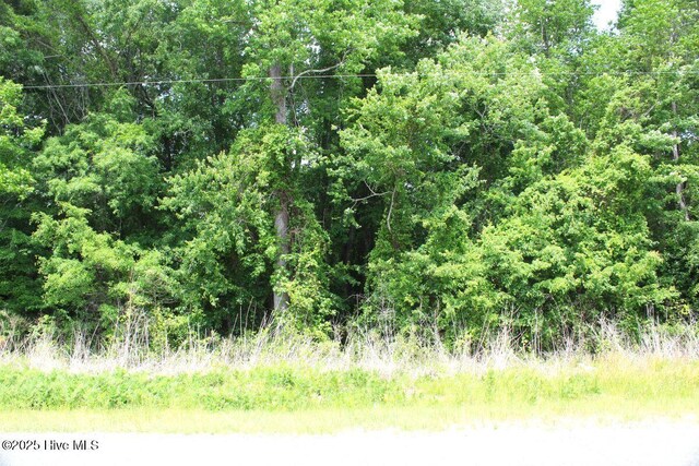 0 Wiley Gaskins Rd, Grifton, NC 28530