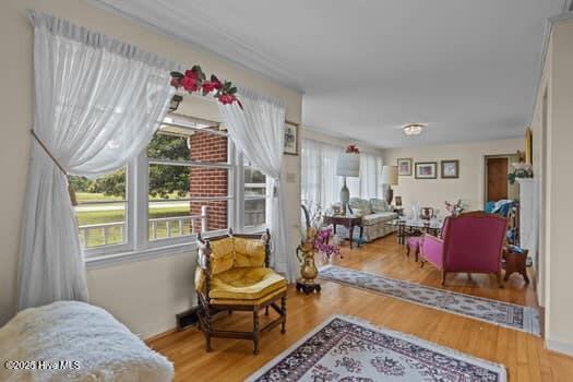 117 Arthur Rd, Beaufort, NC 28516 - living area featuring wood finished floors