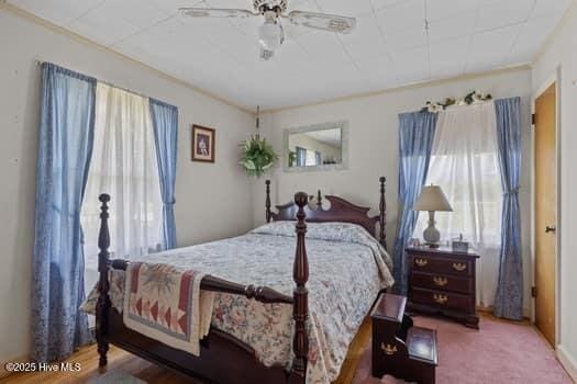 117 Arthur Rd, Beaufort, NC 28516 - bedroom featuring ceiling fan