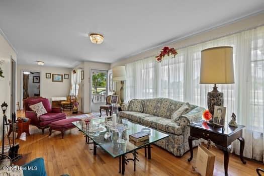 117 Arthur Rd, Beaufort, NC 28516 - living room with wood finished floors