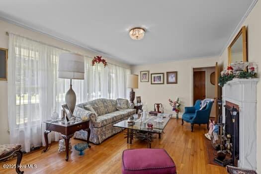 117 Arthur Rd, Beaufort, NC 28516 - living area featuring wood finished floors, a fireplace with raised hearth, and ornamental molding