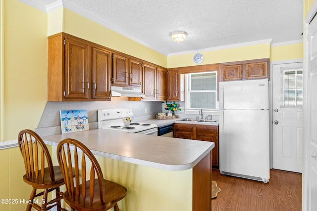 28 E First St Unit 4B, Ocean Isle Beach, NC 28469 - kitchen with white appliances, under cabinet range hood, a sink, a peninsula, and light countertops