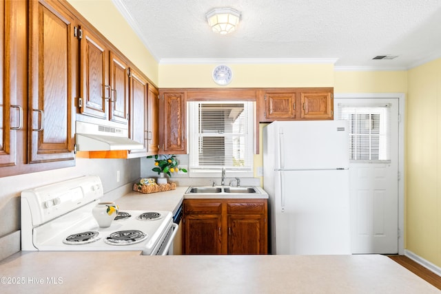 28 E First St Unit 4B, Ocean Isle Beach, NC 28469 - kitchen with white appliances, a sink, under cabinet range hood, light countertops, and a textured ceiling