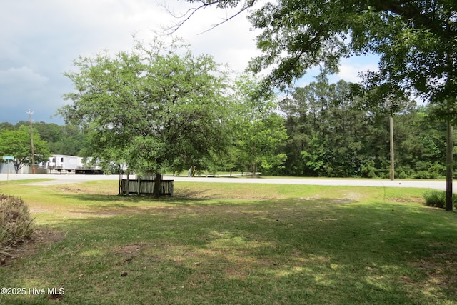 view of green lawn