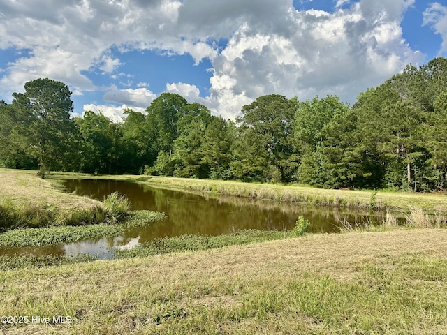 NEAR2151 Dolph Lewis Rd, Cerro Gordo, NC 28430