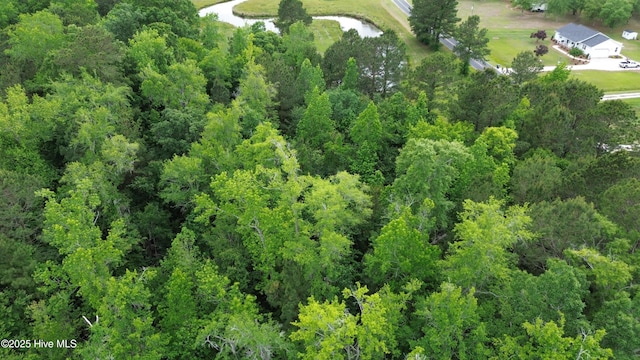 NEAR2151 Dolph Lewis Rd, Cerro Gordo, NC 28430