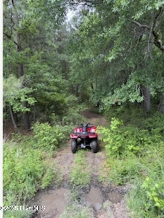 NEAR2151 Dolph Lewis Rd, Cerro Gordo, NC 28430