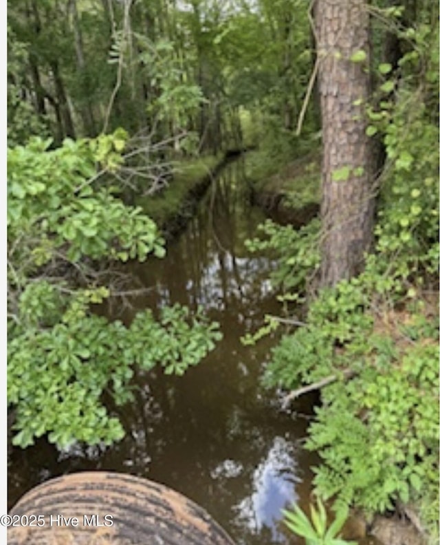 NEAR2151 Dolph Lewis Rd, Cerro Gordo, NC 28430