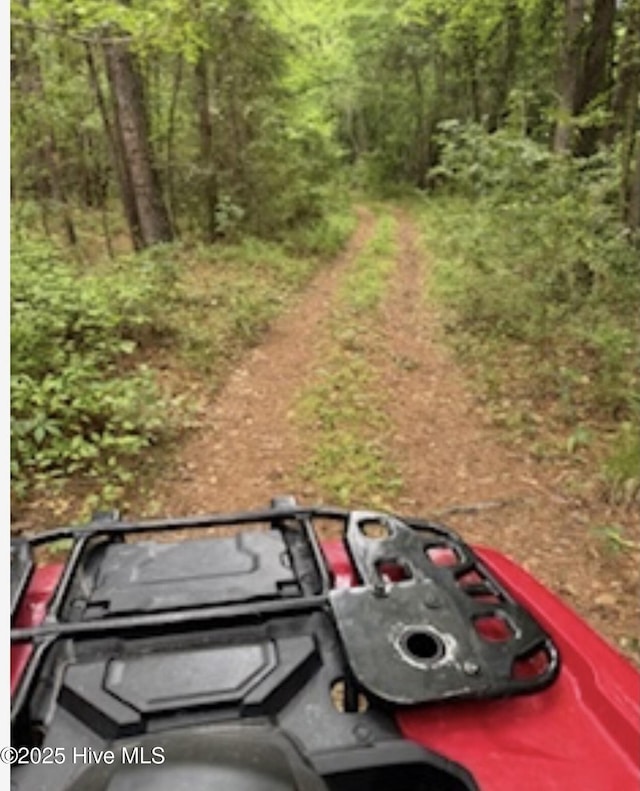NEAR2151 Dolph Lewis Rd, Cerro Gordo, NC 28430