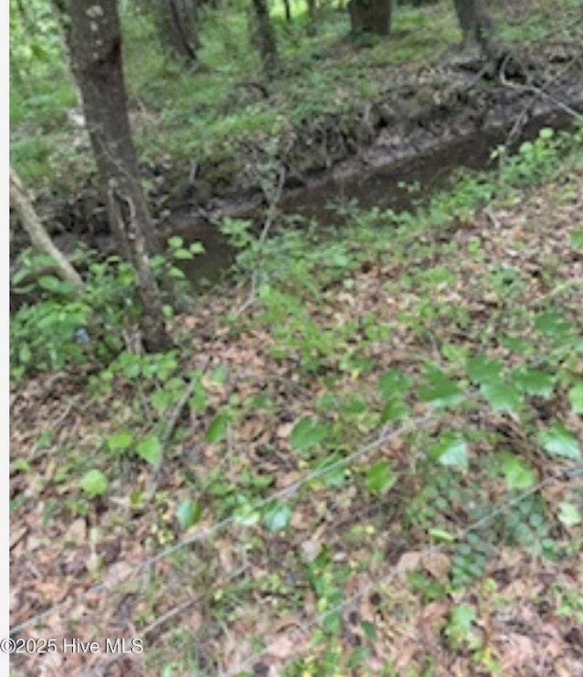 NEAR2151 Dolph Lewis Rd, Cerro Gordo, NC 28430