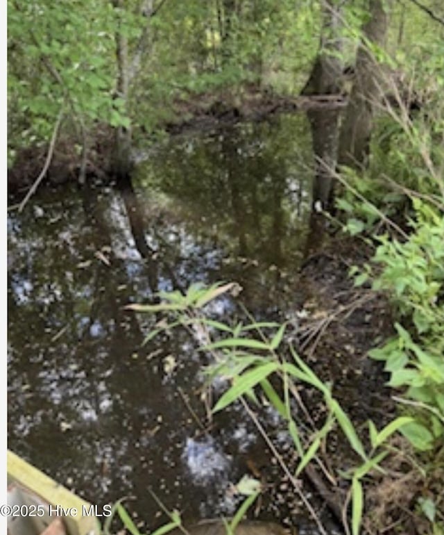 NEAR2151 Dolph Lewis Rd, Cerro Gordo, NC 28430