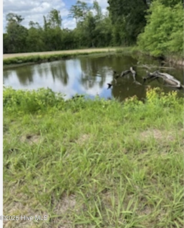 NEAR2151 Dolph Lewis Rd, Cerro Gordo, NC 28430