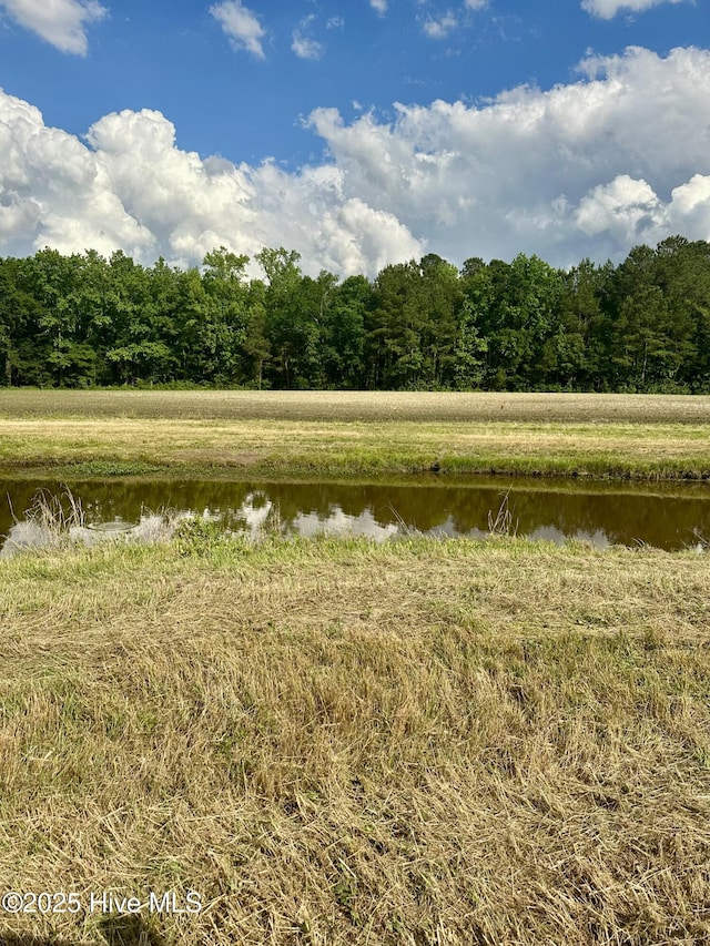 NEAR2151 Dolph Lewis Rd, Cerro Gordo, NC 28430