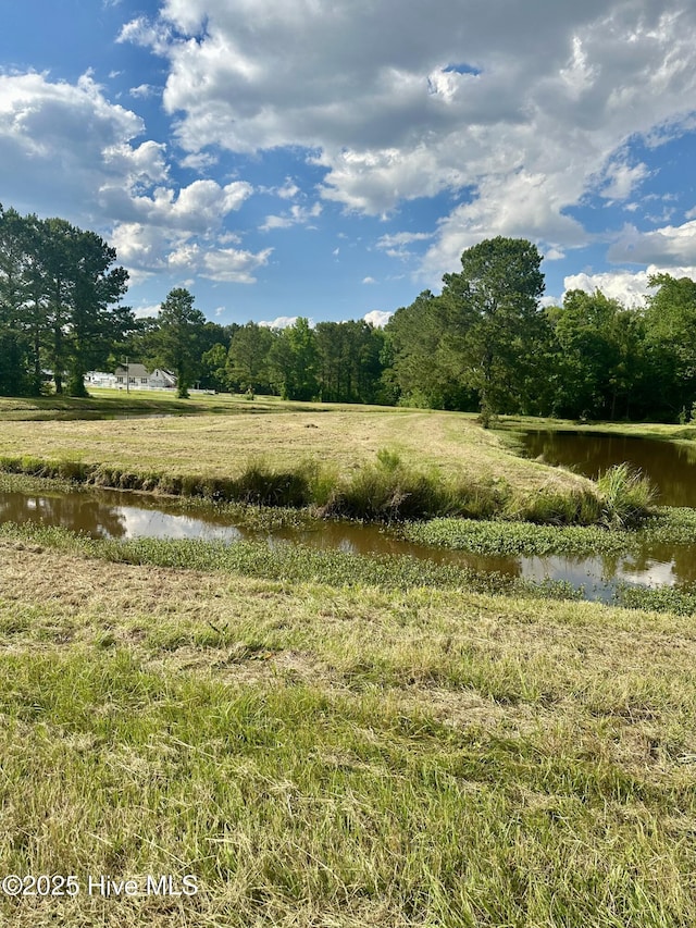 NEAR2151 Dolph Lewis Rd, Cerro Gordo, NC 28430