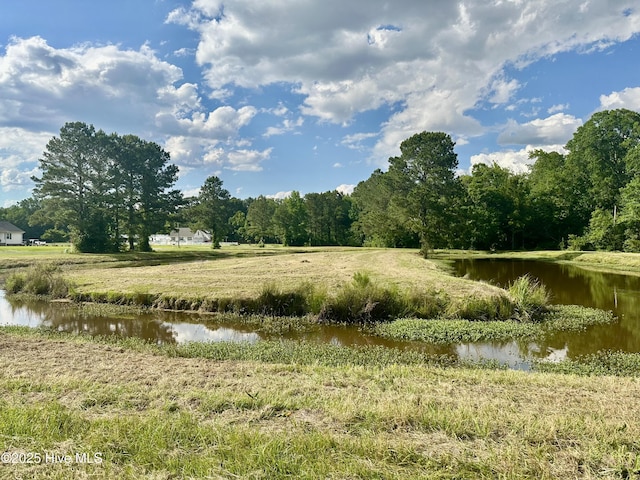 NEAR2151 Dolph Lewis Rd, Cerro Gordo, NC 28430