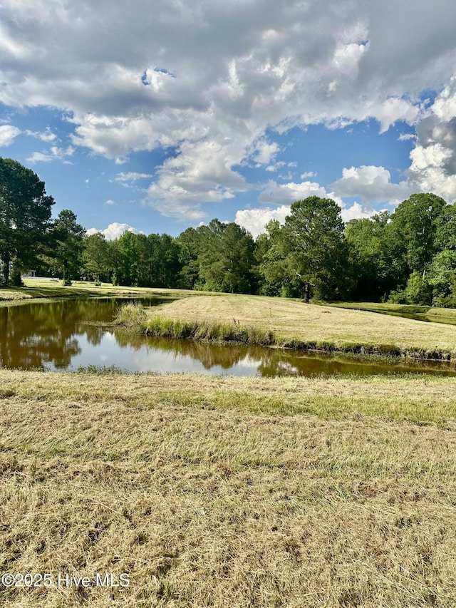 NEAR2151 Dolph Lewis Rd, Cerro Gordo, NC 28430