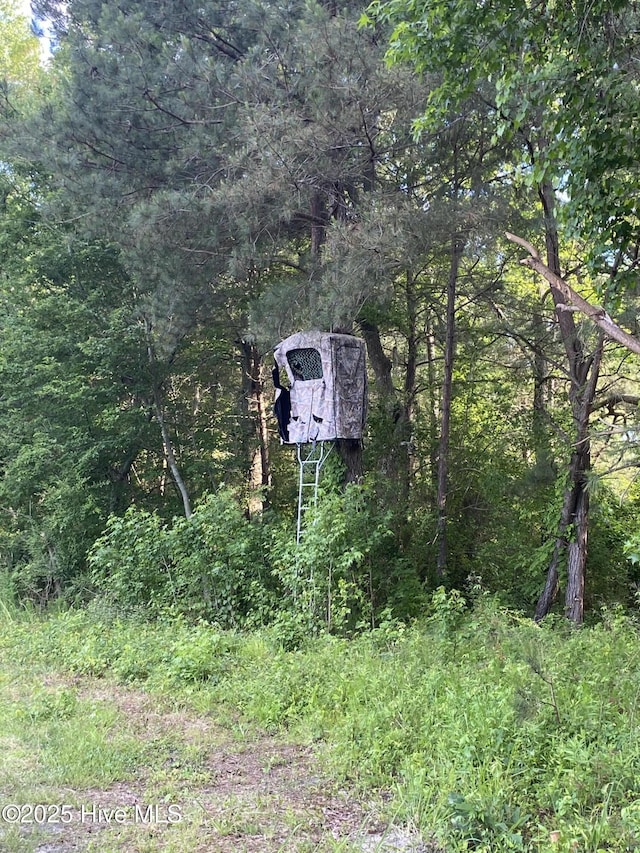 NEAR2151 Dolph Lewis Rd, Cerro Gordo, NC 28430
