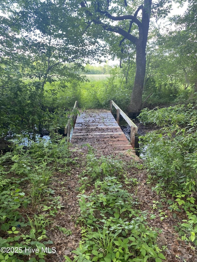 NEAR2151 Dolph Lewis Rd, Cerro Gordo, NC 28430