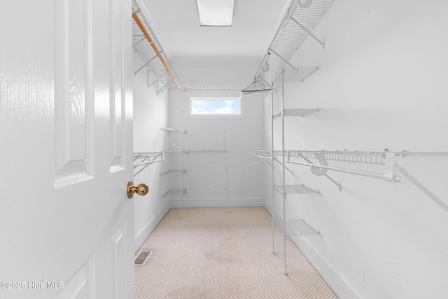 walk in closet with light colored carpet