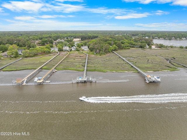 bird's eye view of a nearby body of water