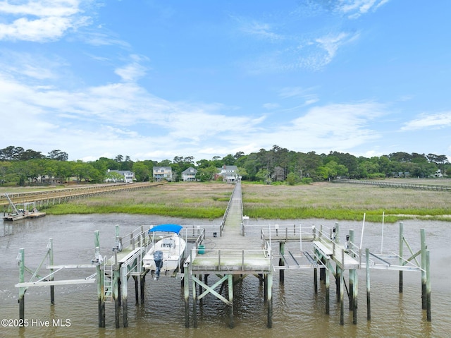 dock area with boat lift, a water view, and view of scattered trees