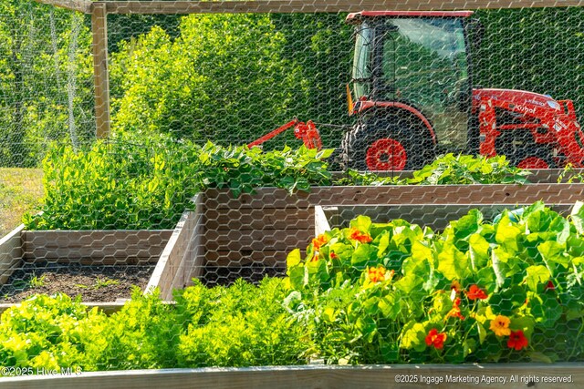 8295 Antioch Church Rd, Middlesex, NC 27557 - exterior view of a vegetable garden