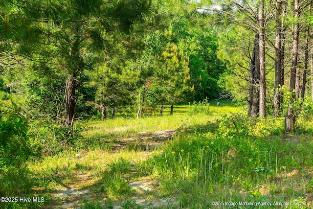 8295 Antioch Church Rd, Middlesex, NC 27557 - view of tree filled area