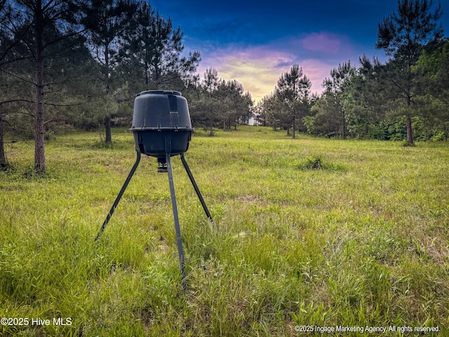8295 Antioch Church Rd, Middlesex, NC 27557 - view of yard at dusk