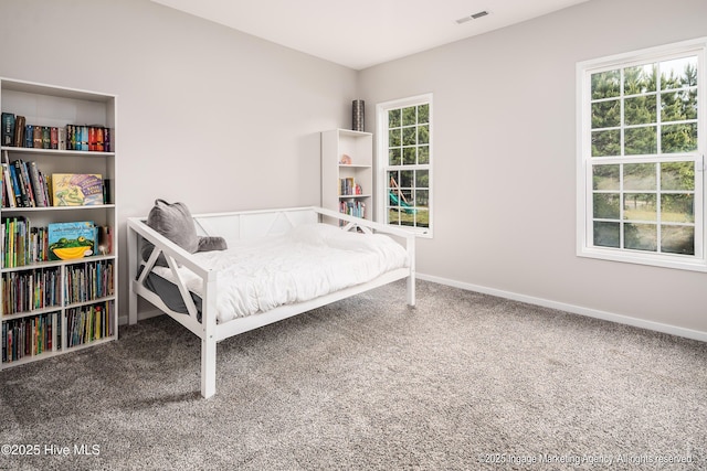 8295 Antioch Church Rd, Middlesex, NC 27557 - carpeted bedroom with baseboards