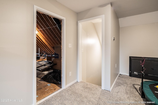 8295 Antioch Church Rd, Middlesex, NC 27557 - hall featuring carpet