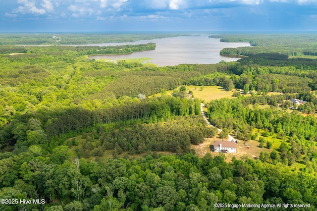 8295 Antioch Church Rd, Middlesex, NC 27557 - drone / aerial view of a forest and a large body of water