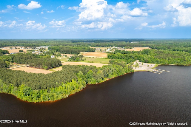 8295 Antioch Church Rd, Middlesex, NC 27557 - bird's eye view of a forest and a nearby body of water