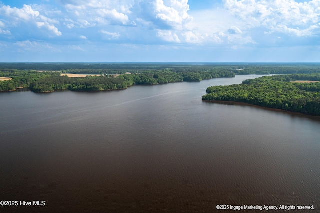 8295 Antioch Church Rd, Middlesex, NC 27557 - aerial view of a large body of water and a heavily wooded area