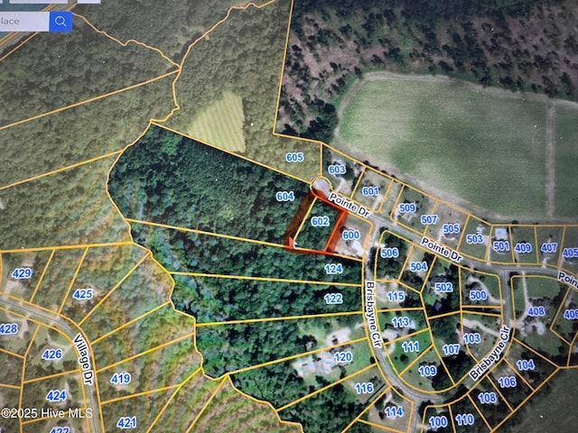 602 Pointe Dr Unit 46, La Grange, NC 28511