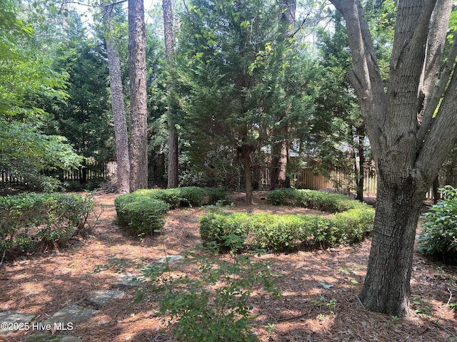 50 Short Rd, Pinehurst, NC 28374 - view of local wilderness
