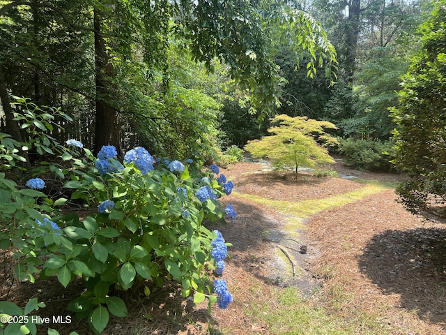 50 Short Rd, Pinehurst, NC 28374 - view of yard with a view of trees