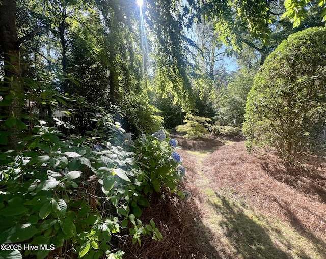 50 Short Rd, Pinehurst, NC 28374 - view of nature
