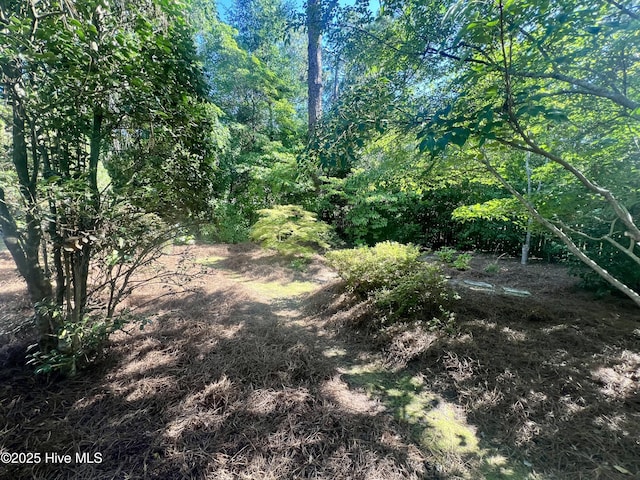 50 Short Rd, Pinehurst, NC 28374 - view of local wilderness