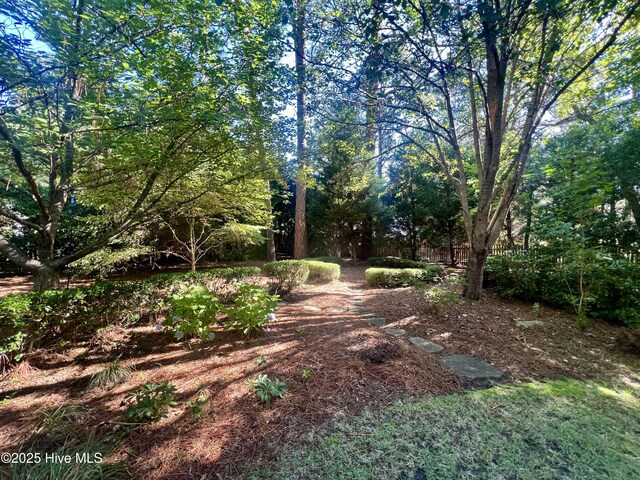 50 Short Rd, Pinehurst, NC 28374 - view of local wilderness