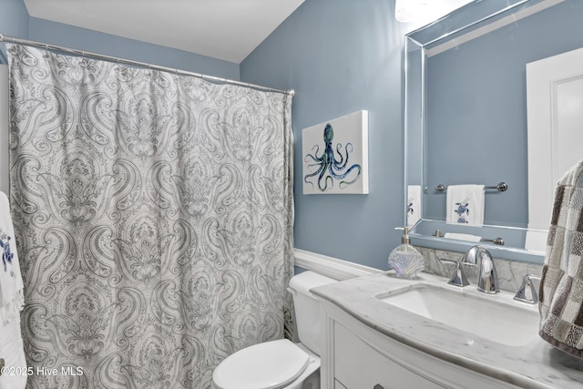 bathroom with toilet and vanity