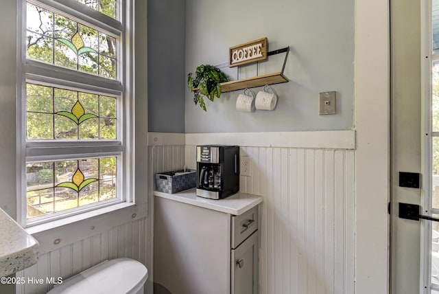 bathroom featuring wood walls and a wainscoted wall