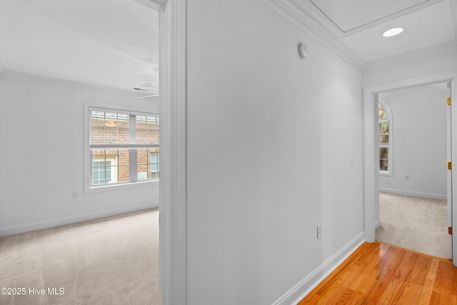 1103 Groppo Cv, Wilmington, NC 28412 - hall with ornamental molding, baseboards, attic access, light wood-style floors, and light colored carpet