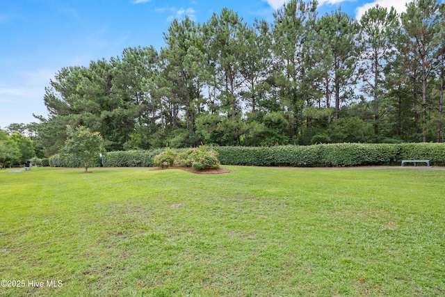 1103 Groppo Cv, Wilmington, NC 28412 - view of grassy yard