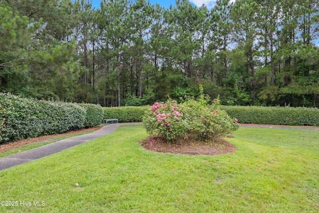 1103 Groppo Cv, Wilmington, NC 28412 - view of green lawn