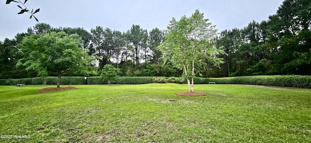view of grassy yard