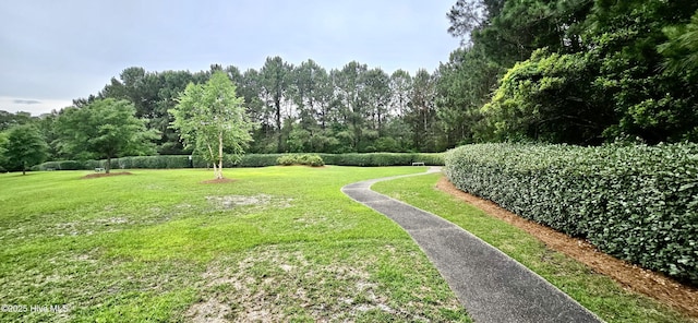 view of property's community with a yard