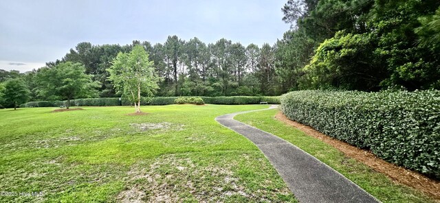 1103 Groppo Cv, Wilmington, NC 28412 - view of green lawn