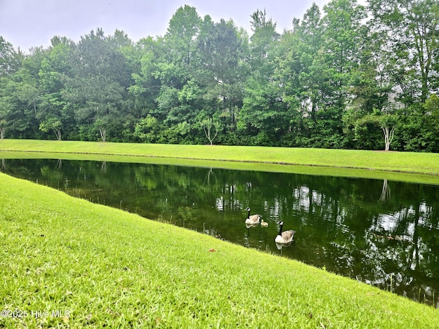 water view