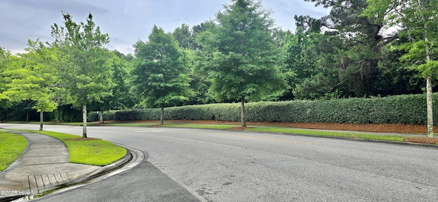 1103 Groppo Cv, Wilmington, NC 28412 - view of asphalt road featuring sidewalks and curbs